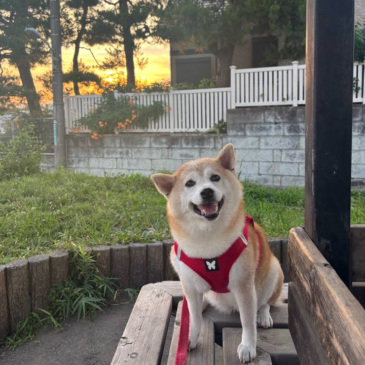 Fdf084eb 77b9 4a37 afc0 62baddb66267 1751391578473