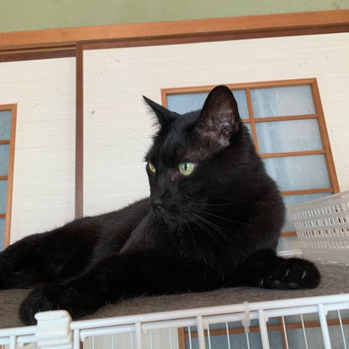 Fdf085a8 7603 4216 868e cb5a62ec01a6 1597452766506