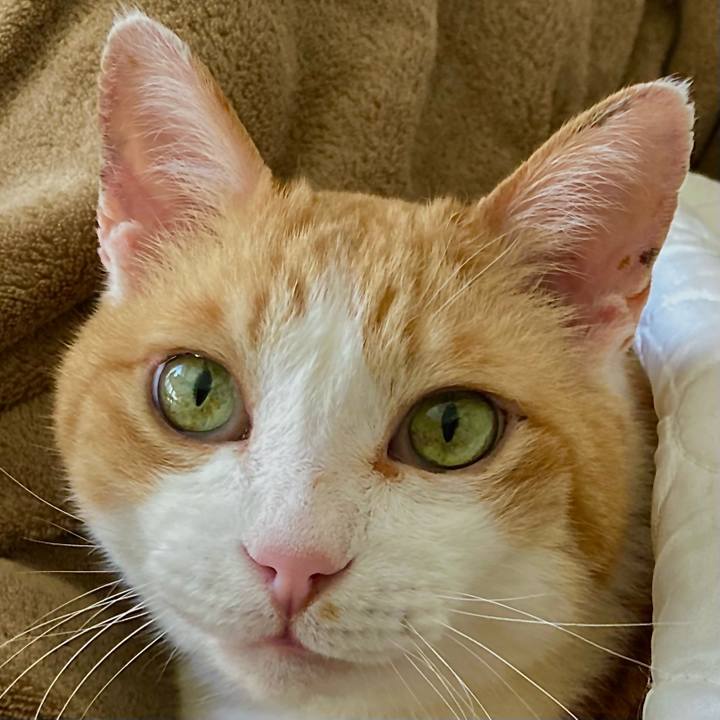 Fdf0c10c 5e7a 4da3 bdd6 4957a837ec11 1655690852943