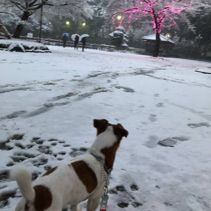 Fdf0ef96 725b 417a b745 84bc5d97bbba 1516627205937