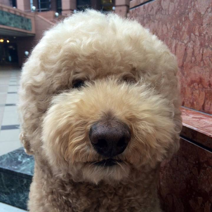 Fdf115eb 7710 47f9 8a8b 3e977c501da9 1570592418444