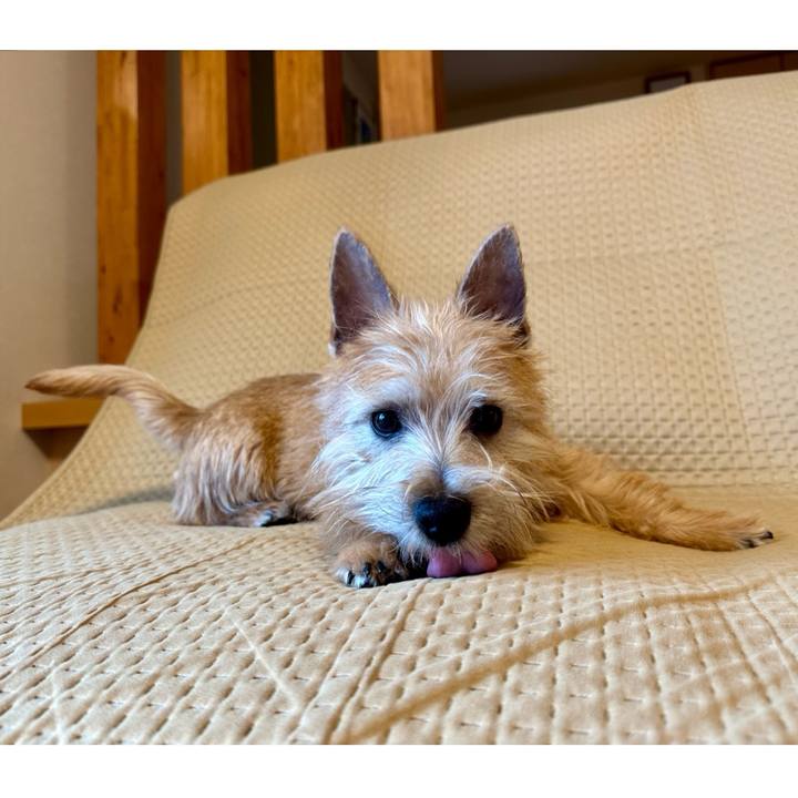 Fdf1530e f973 4b99 994e f1b8b3509c15 1707226267106