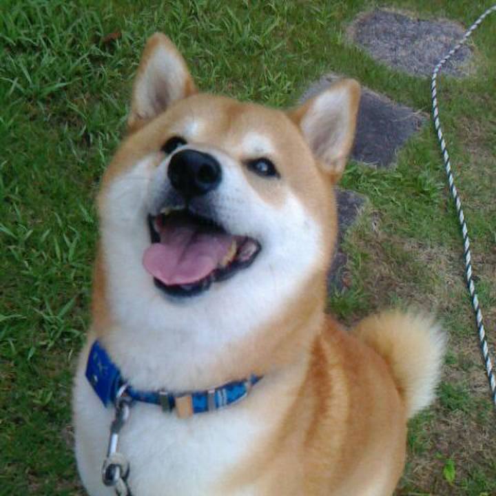 Fdf15989 97b1 4131 9d33 ffa868ea0c62 1535544908539