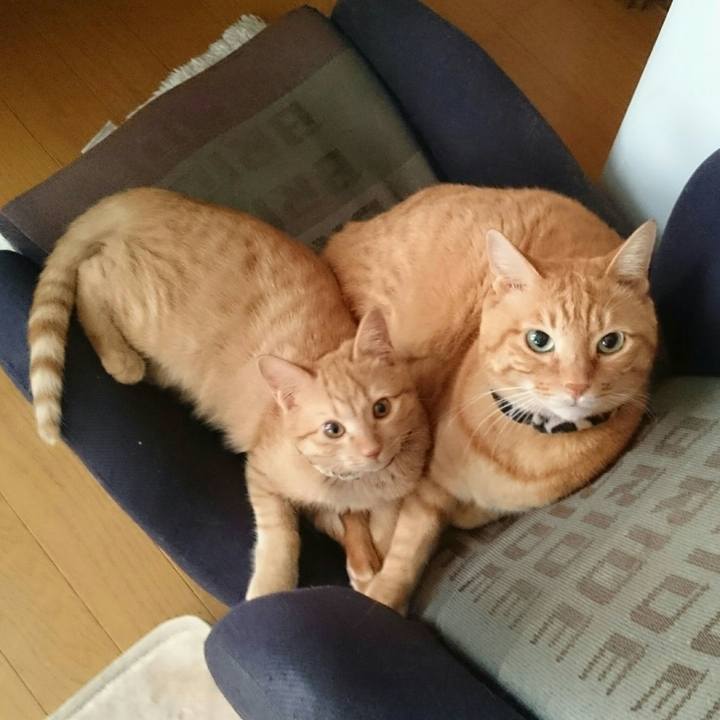 Fdf18a92 4a3e 451d 9ccc aefb9e5cf94e 1544661978631