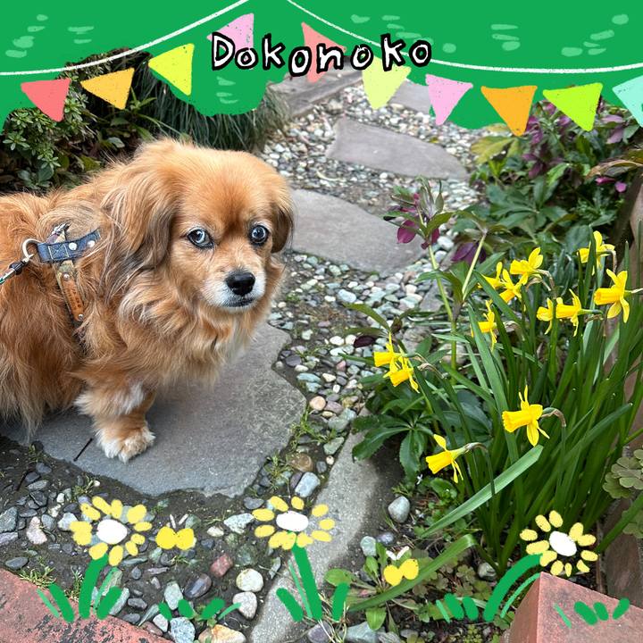 Fdf1d4e6 cc4c 4c8f a933 a761301e5823 1711502924281