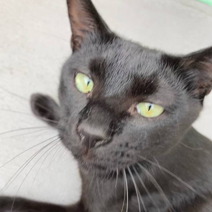 Fdf1f933 a4a2 4aef bb26 7b5e1f13c9f6 1592726489374