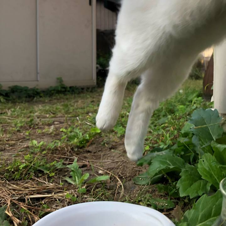 Fdf20218 d307 4b40 b709 812fd08fbdb6 1600812557511