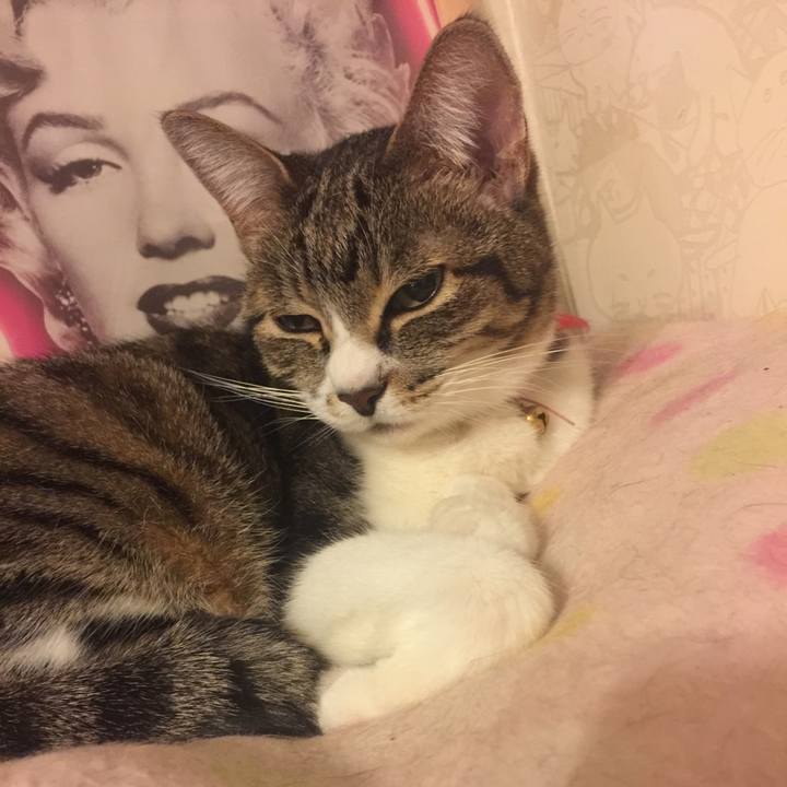 Fdf20420 c2c3 499b 935a 5bb6f837d90c 1552921234736