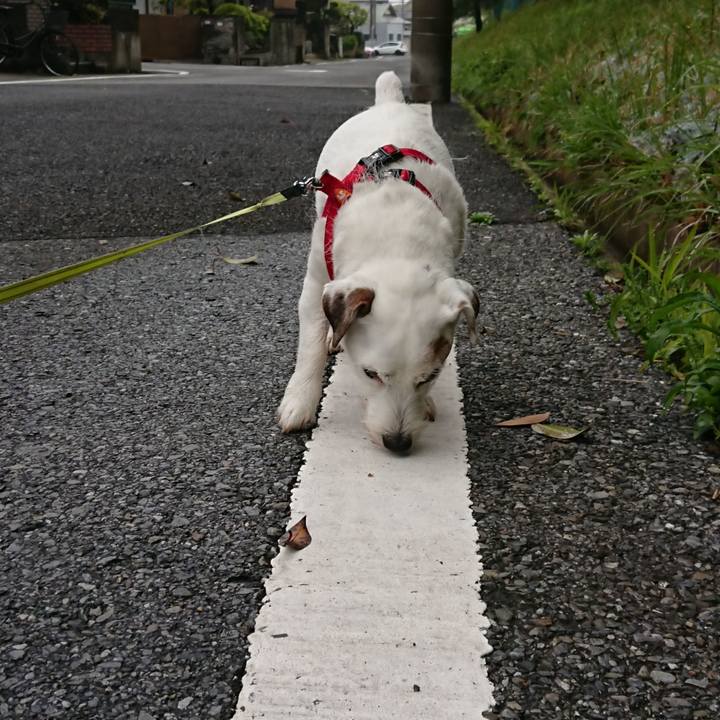 Fdf217d0 402e 4a5e a40e e33b80f25087 1588635130473