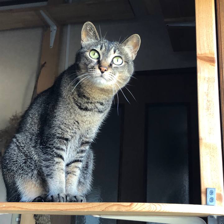 Fdf24277 2d3b 4a80 b862 360a44041577 1591840462418