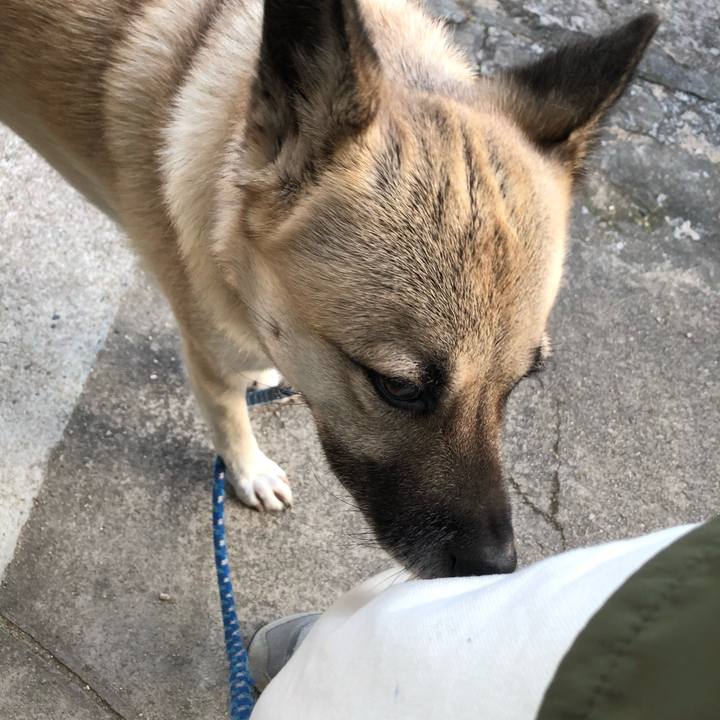 Fdf29ac9 a016 496f a863 939236439b07 1606221008536