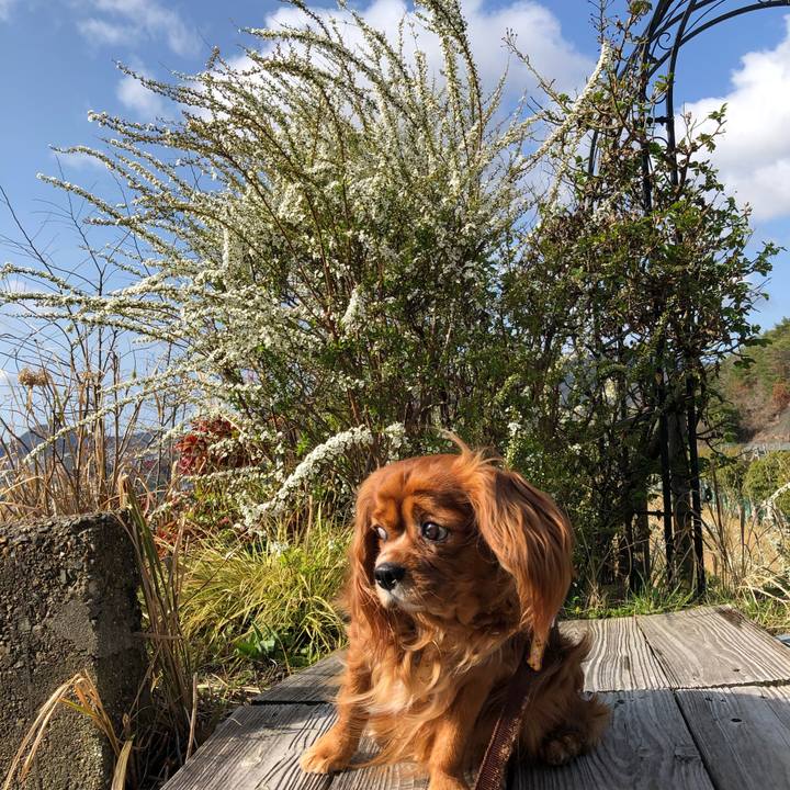 Fdf2b41c cb99 4045 bada 86e07ee39567 1615760628164