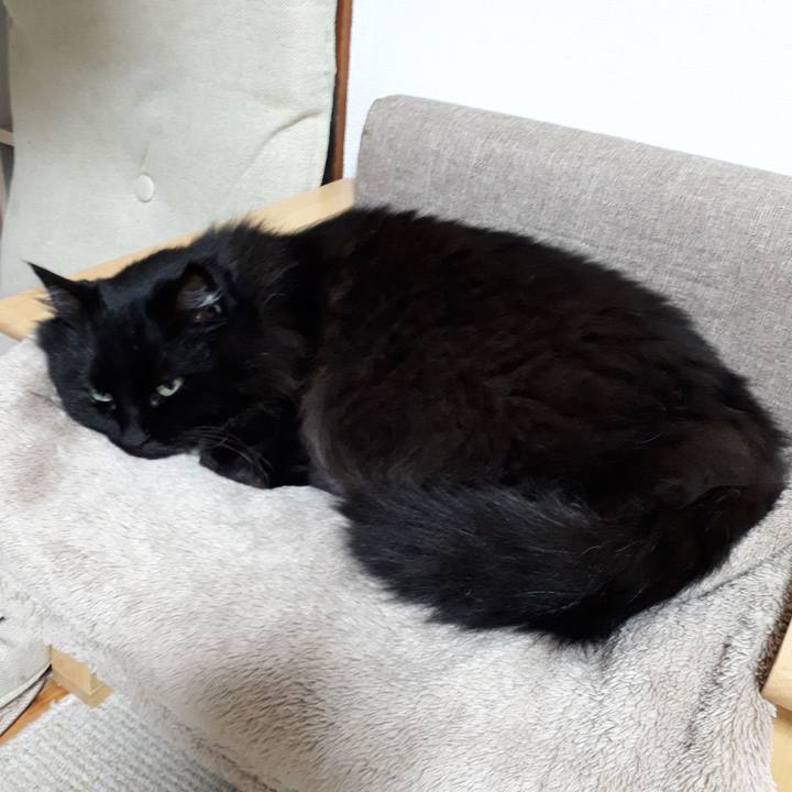 Fdf2d295 9748 4043 a745 b2998088242b 1522352953207