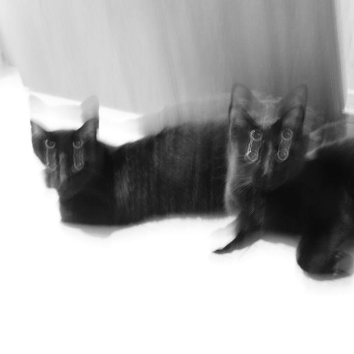 Fdf316ff 3bfe 49bb af41 977c28563efd 1528761614326