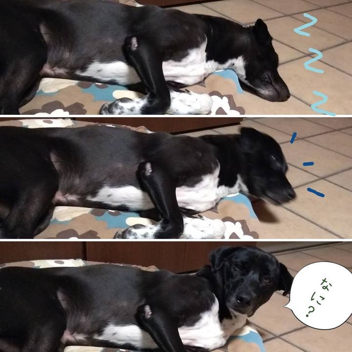 Fdf346dc a24e 4112 903c 9086a75492fc 1604224890883