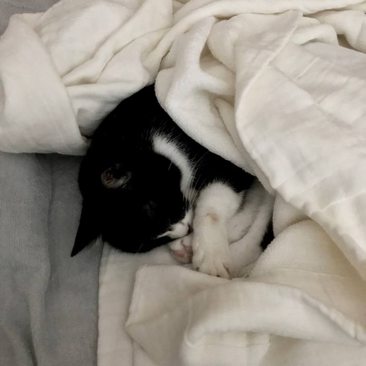 Fdf35b3d f293 440f 86ce 04ef320aa2af 1566533336276