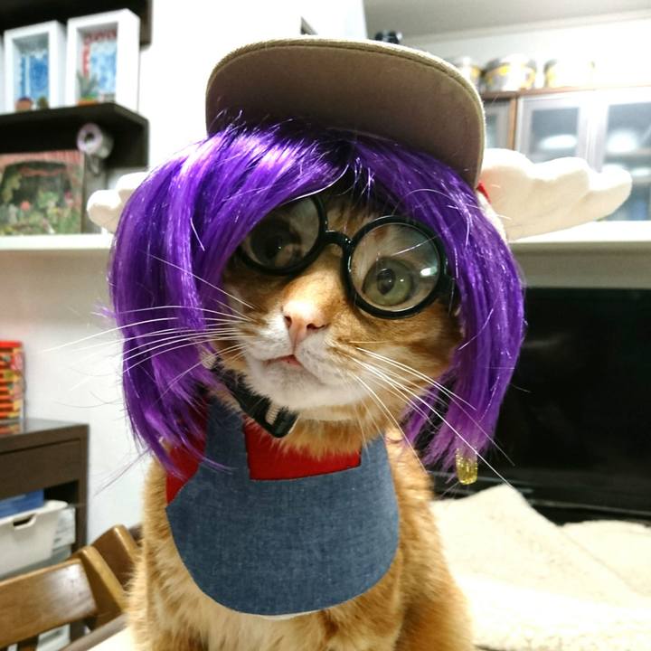 Fdf37499 e035 4792 b9c9 166d760d2c86 1555937399988