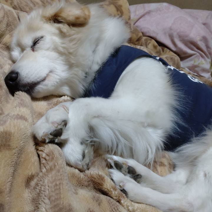 Fdf3ab29 4c02 4124 b7f0 94bf0b9e993f 1645317535396