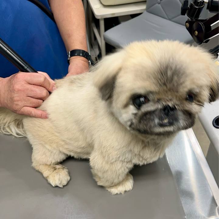 Fdf3d9d4 b8cb 421b 838e 5ba18d9fd3d9 1770507304756