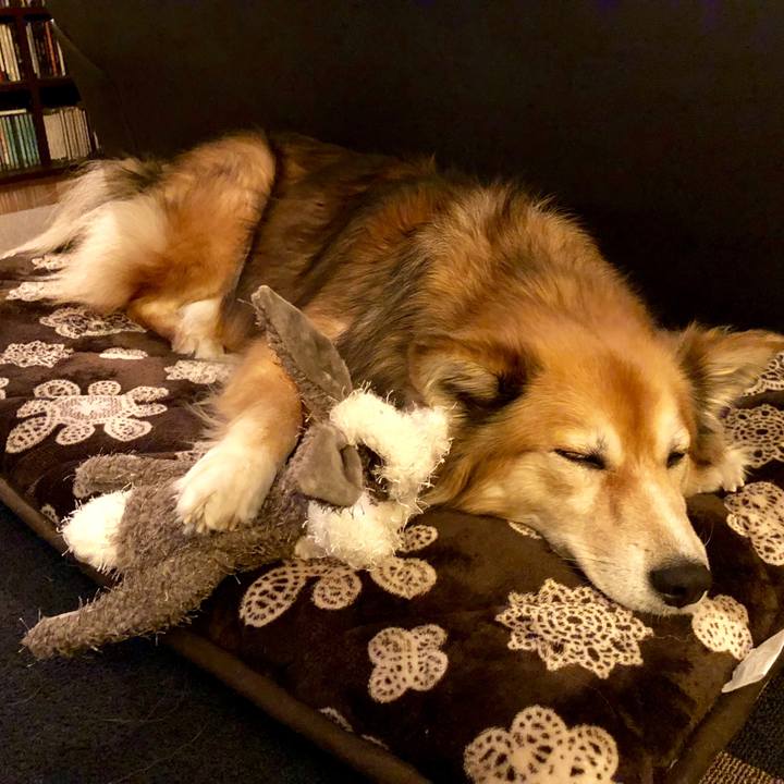 Fdf40a33 2f5c 4050 90f5 f8401caf9c9a 1514174041877