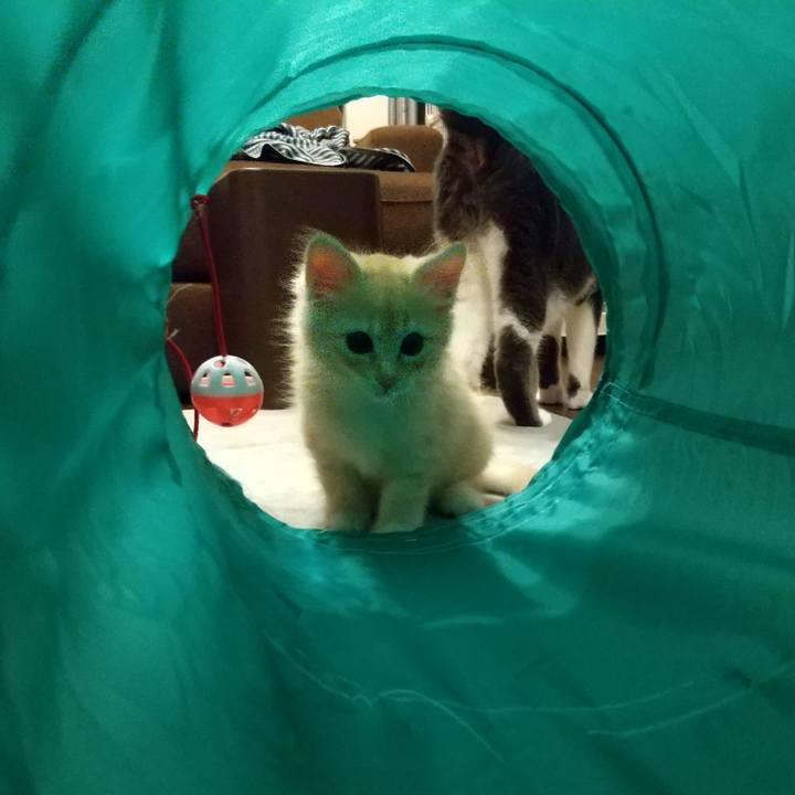 Fdf4414e 9ac6 4740 bef2 bbb7b2a56a27 1603118309459