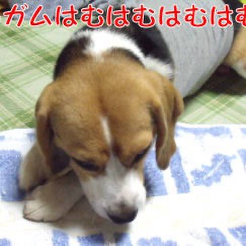 Fdf4709d 1c48 4283 be93 7f69fad8d300 1722116270654