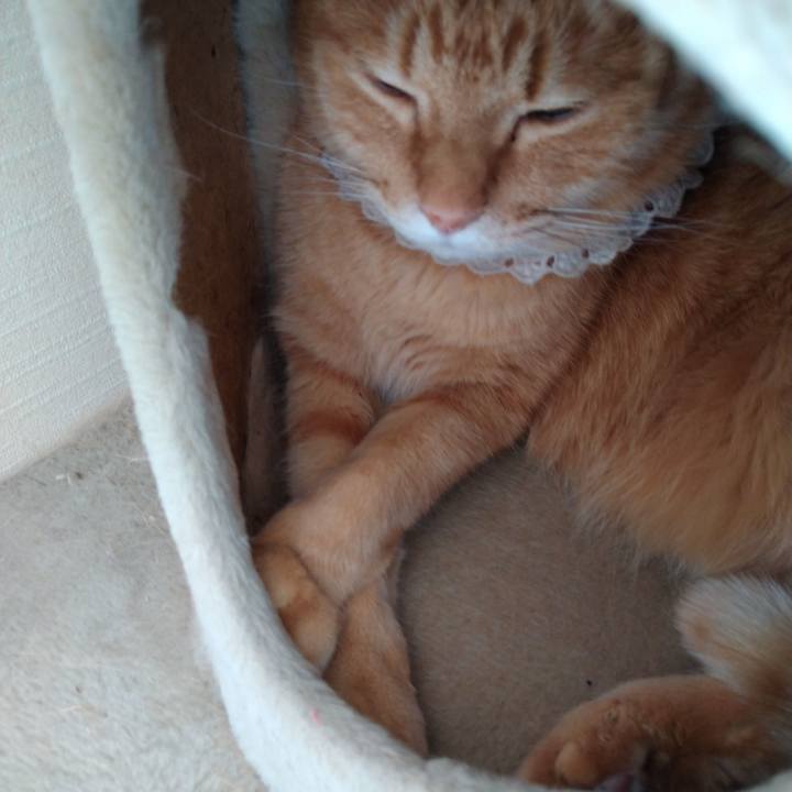 Fdf474d5 ee8c 457c b923 06a4e0350169 1603600527446