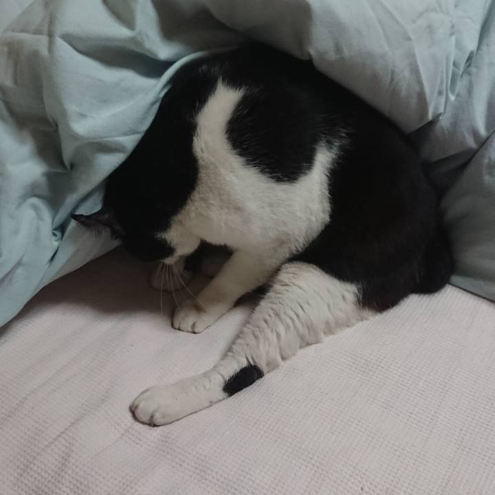 Fdf47ac9 0f4f 4122 83c9 0cbec02da77d 1539869966526