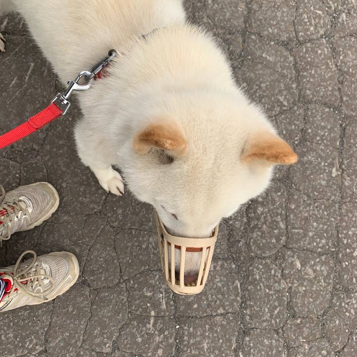 Fdf4a00b b12a 4e8c 854c 9ebd63502d51 1560118879704