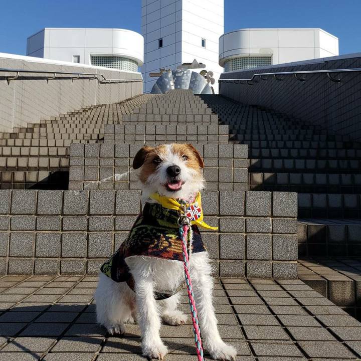 Fdf4b41a 0f4b 4e15 acdd 72368dc30f5b 1582418417830