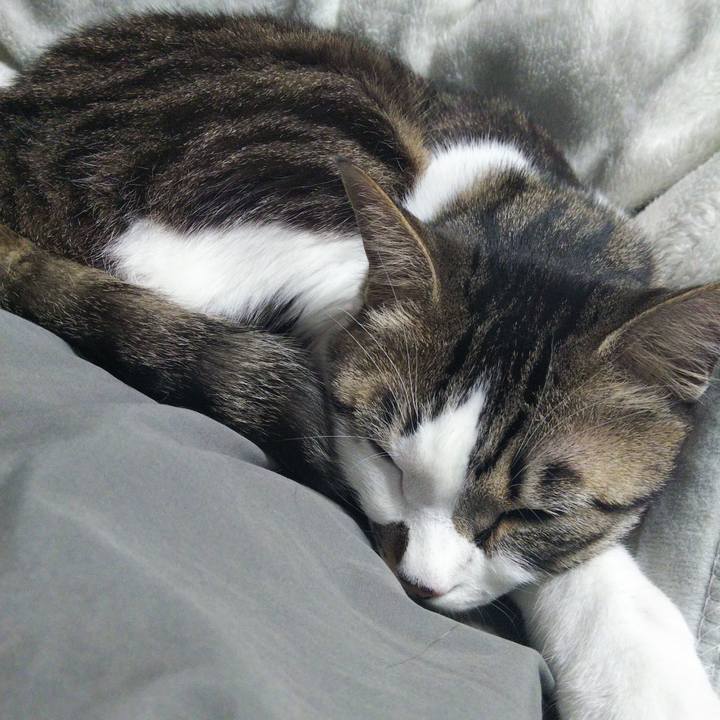 Fdf51f6b d3ec 45a2 85b2 f626fb5bd574 1646482478011