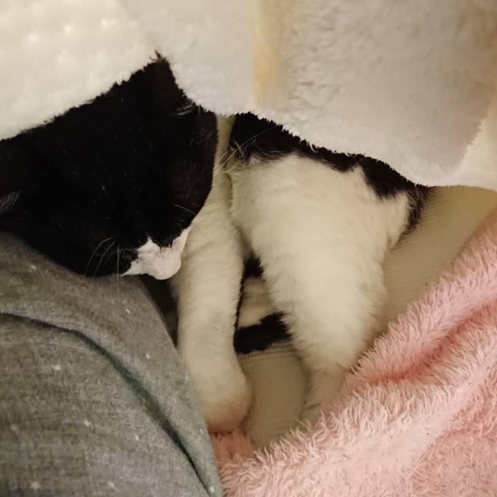 Fdf5299d db4c 4602 9d31 492e3facd52f 1633126659932