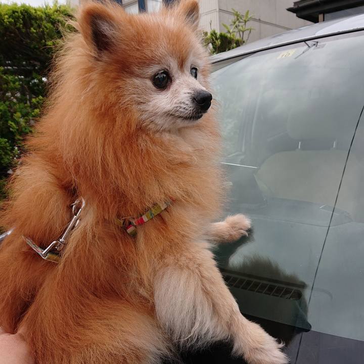 Fdf52d9a d191 454e 80a5 2d2096e579b0 1657253337371