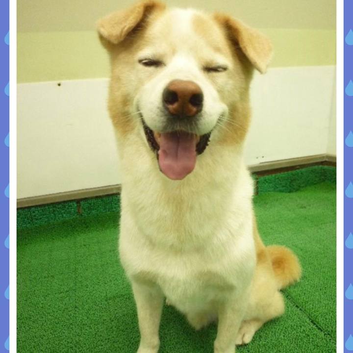 Fdf53493 8c7c 468e b857 1956b57896cc 1656898914447