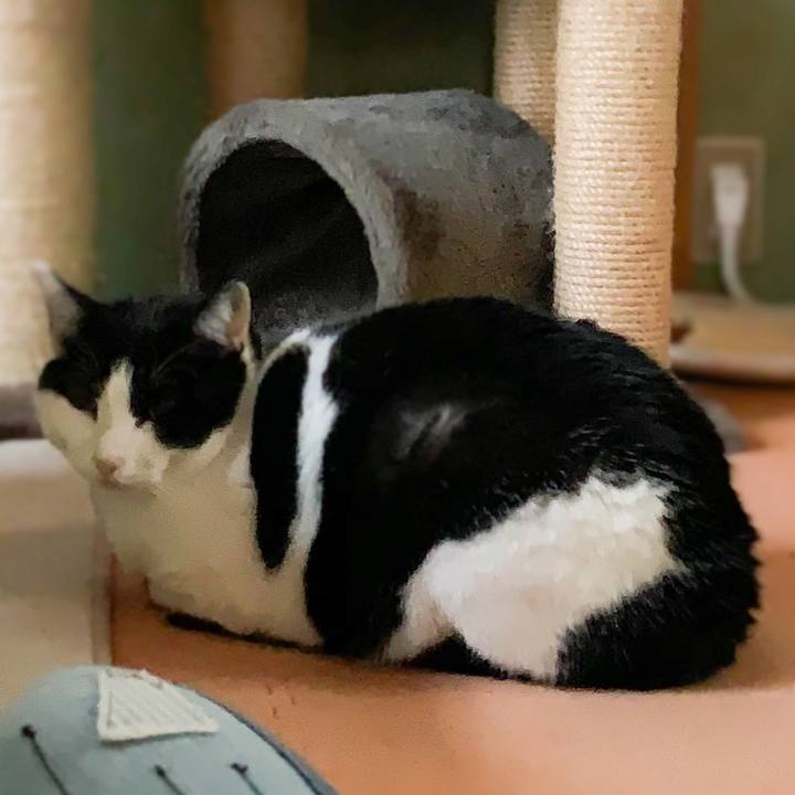 Fdf53ee7 5651 4e92 bcc1 68f72e695901 1579485807114