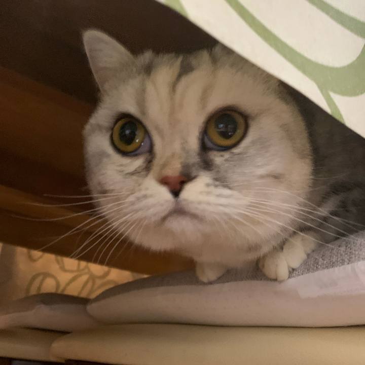 Fdf54841 a3ed 497a 8a9b 0204e9503669 1711361985571