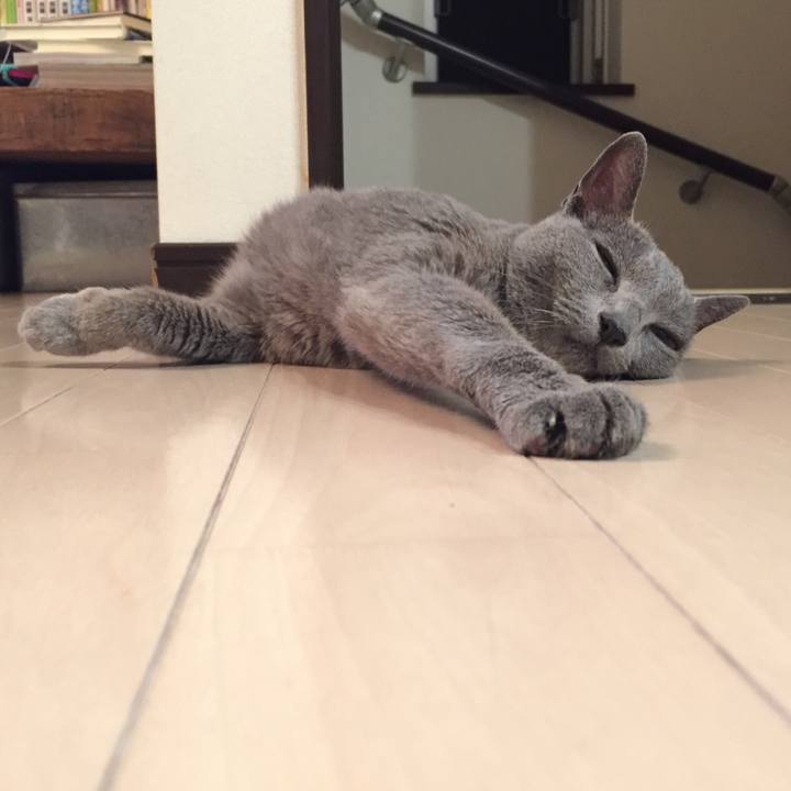 Fdf54ca5 f213 458e 8bad decf1bd2fd0f 1567821751148