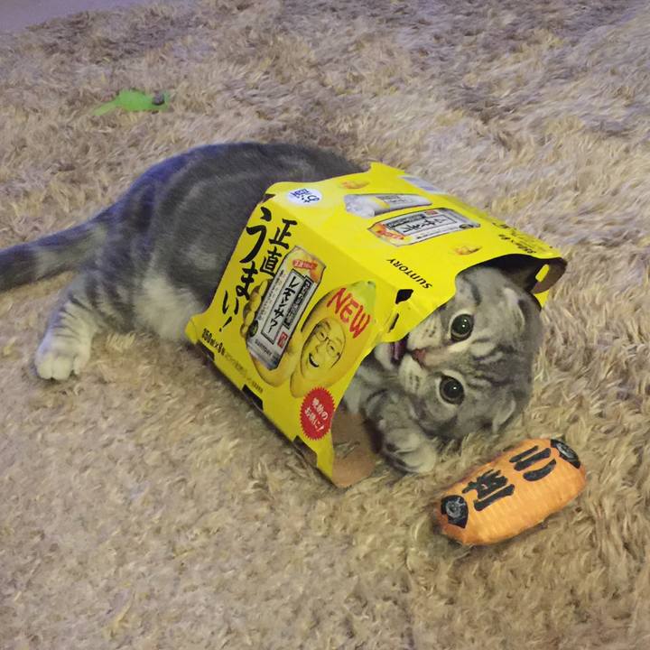 Fdf54fb7 b36b 4d28 84d1 9899c00d6c5c 1590392905716