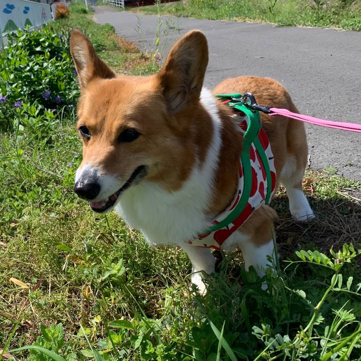 Fdf5708f bb17 49a1 ae62 6ada34e4ddc0 1650593766290