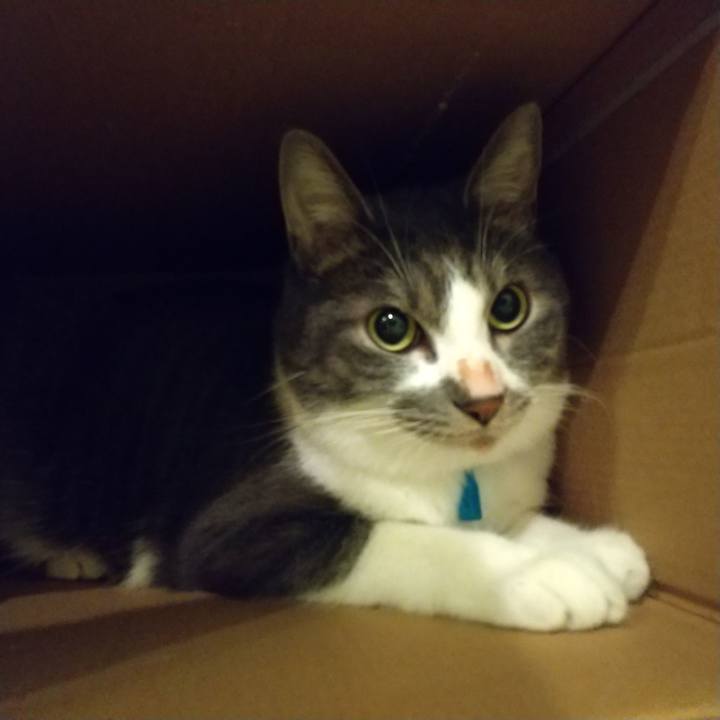 Fdf5d7bf f3b8 4348 a801 92ff0edd7980 1607548800593