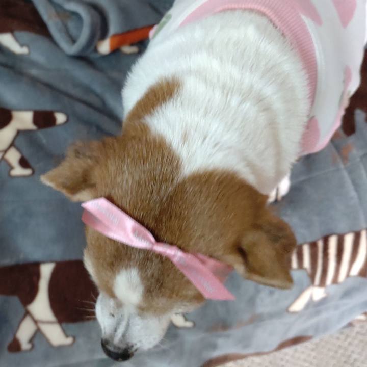 Fdf5de99 0e44 49e3 ba35 b526472dc22c 1765588580195