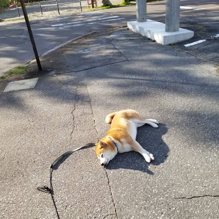 Fdf5f42f 6363 403f 8b98 41cff2741b6a 1573191529496