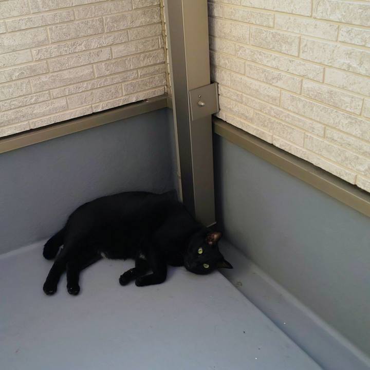 Fdf5f4b3 1e50 436c af47 3cf71c4b56e6 1757221891823