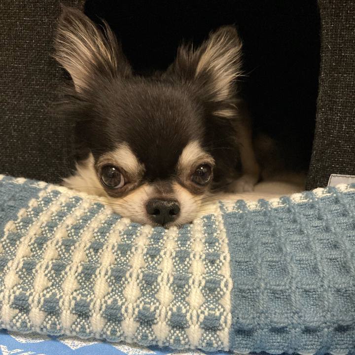 Fdf60894 7a6a 4707 a69c c7e2aff17120 1661611424983