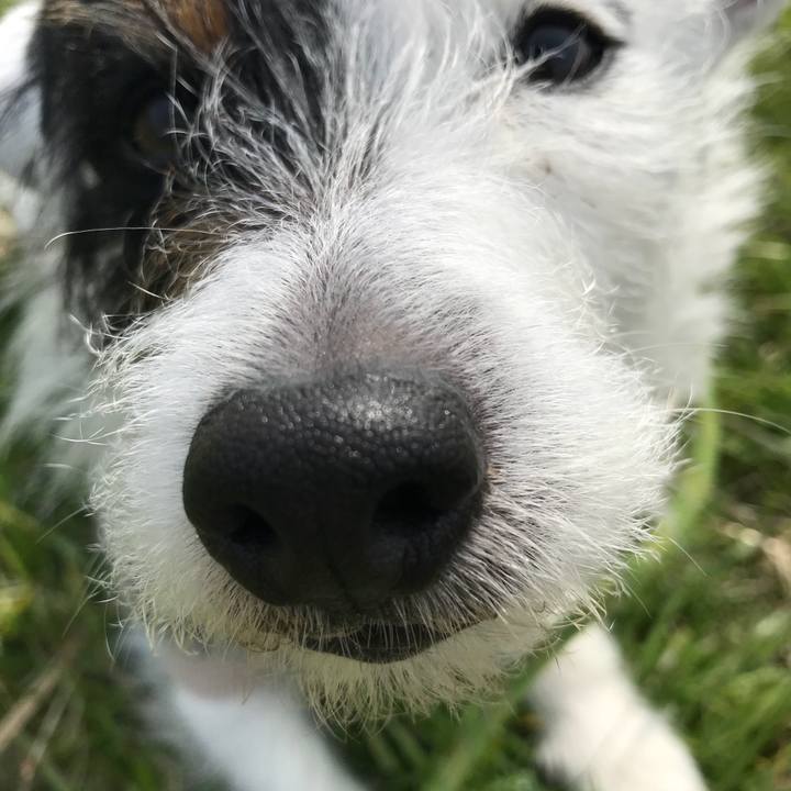 Fdf61db4 a305 4099 a563 4e1ace751bca 1523407469977