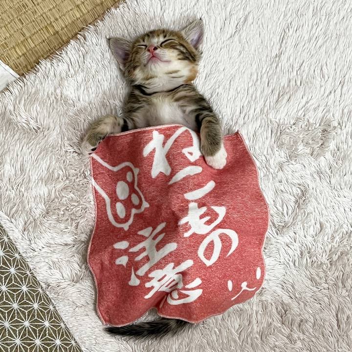 Fdf62750 f644 406e 8f88 677b74940e58 1691997072375