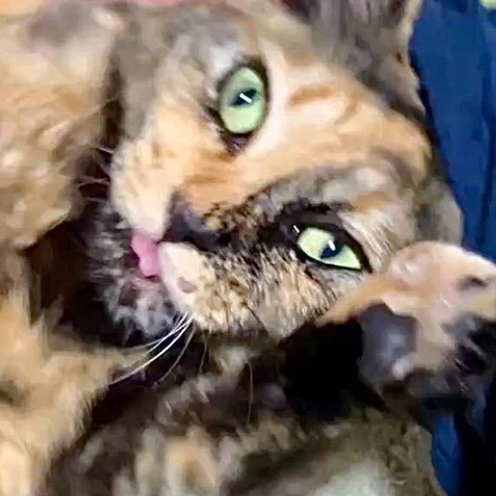 Fdf628c4 b08b 421a a763 9f2def7133ba 1742936585042