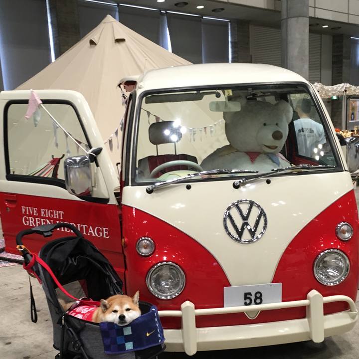 Fdf65adc ada6 403a 81b6 1658acbcc280 1569058996123