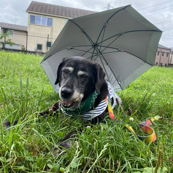 Fdf65fb4 4736 484e 884b 7eb22ddb17e6 1750903877090