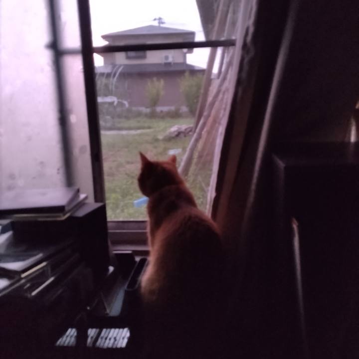 Fdf6718a ae0d 4df5 a9b1 a02fbfaaec44 1694124313010